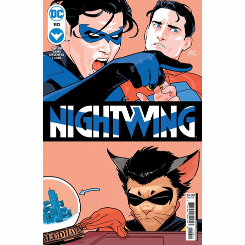 Nightwing # 110