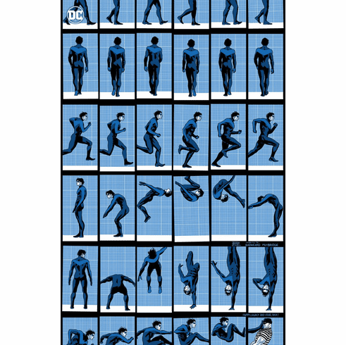 Nightwing # 113 / 300 (Incentive Virgin Variant)