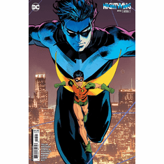 Nightwing # 113 / 300 (Variant)