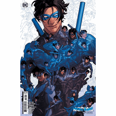 Nightwing # 113 / 300 (Variant)