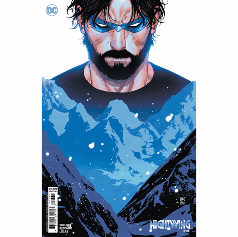 Nightwing # 114 (Variant)