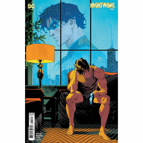 Nightwing # 115 (Variant)