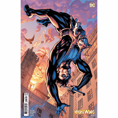 Nightwing # 115 (Variant)