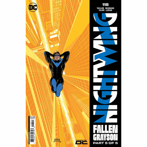 Nightwing # 118