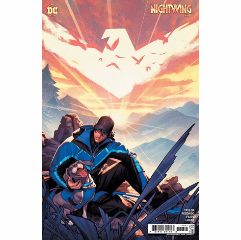 Nightwing # 118 (Variant)