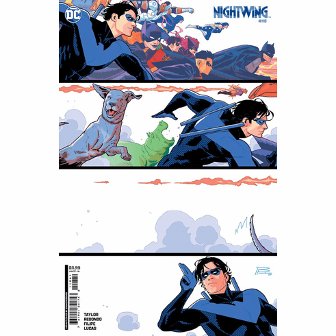 Nightwing # 118 (Variant)