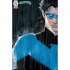 Nightwing # 128 (Variant)