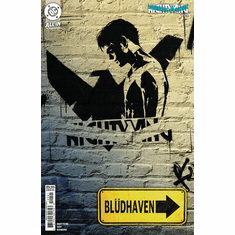 Nightwing # 129 (Variant)