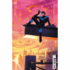 Nightwing # 89 (Variant)