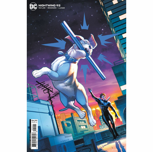 Nightwing # 92 (Variant)