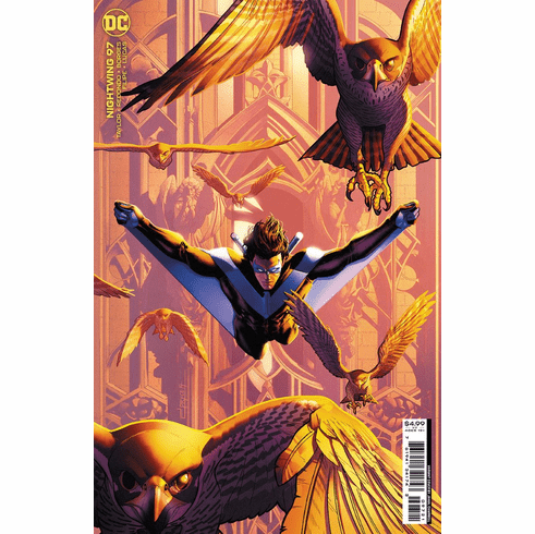 Nightwing # 97 (Variant)