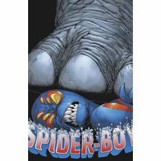 Spider-Boy # 5 (Incentive Virgin Variant)