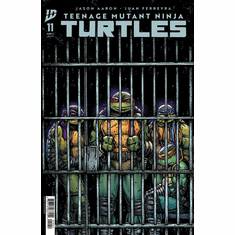 Teenage Mutant Ninja Turtles # 11 (Variant)