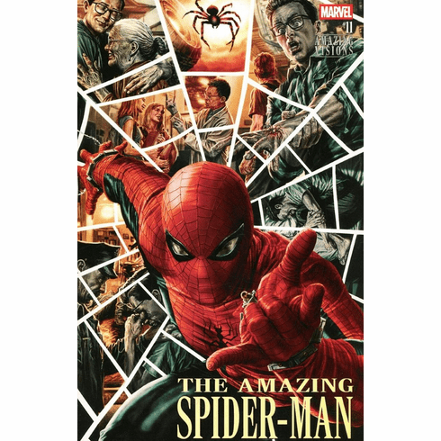The Amazing Spider-Man # 11 / 975 (Amazing Visions Variant)
