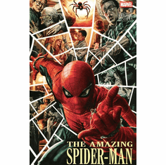 The Amazing Spider-Man # 11 / 975 (Amazing Visions Variant)