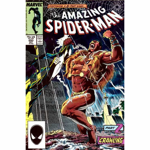 THe Amazing Spider-Man # 293