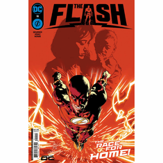 The Flash # 11