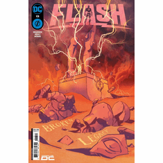 The Flash # 13