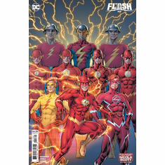 The Flash # 13 (Artist Spotlight Variant)