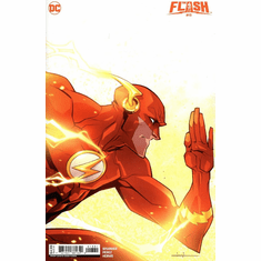 The Flash # 13 (Variant)