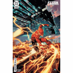 The Flash # 14 (Variant)