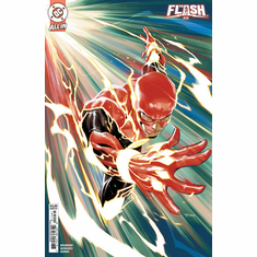 The Flash # 19 (Variant)