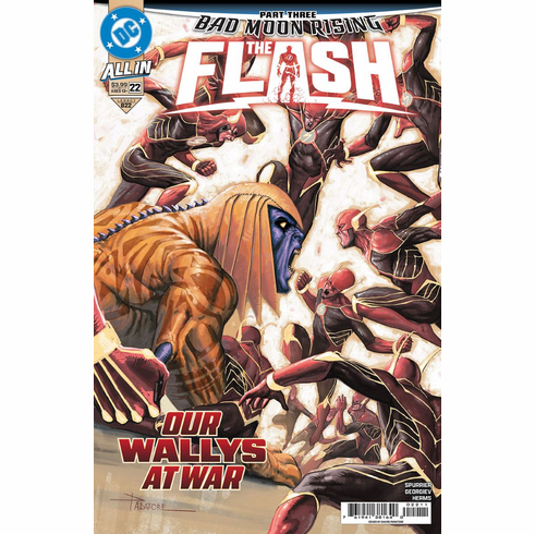 The Flash # 22