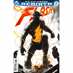 The Flash # 22 (Variant)