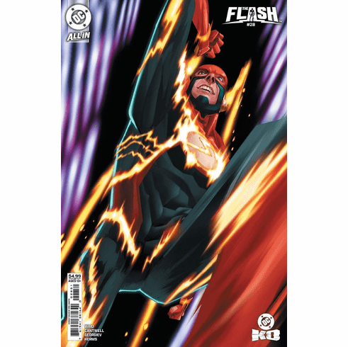 The Flash # 28 (Variant)
