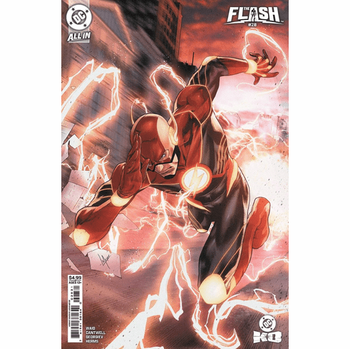 The Flash # 28 (Variant)