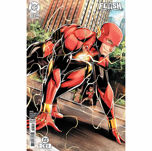 The Flash # 28 (Variant)