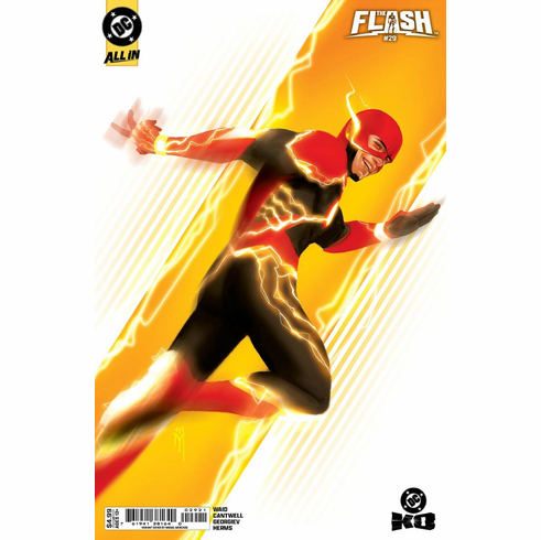 The Flash # 29 (Variant)