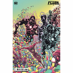 The Flash # 6 (Variant)