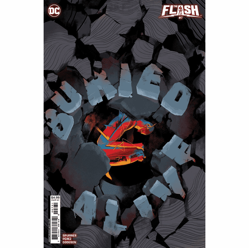 The Flash # 7 (Variant)