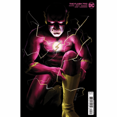 The Flash # 790 (Variant)