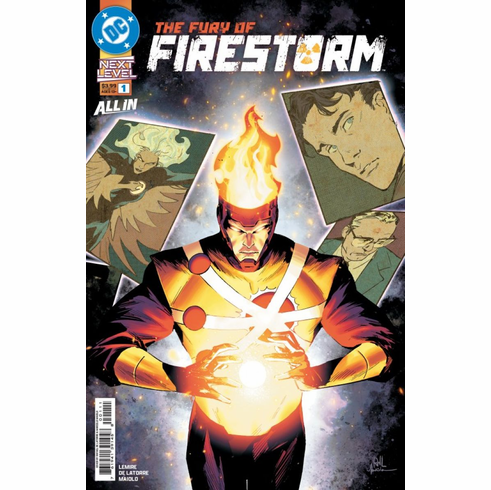 The Fury Of: Firestorm # 1