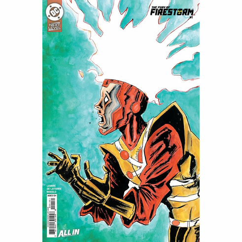 The Fury Of Firestorm # 1 (Incentive Variant)