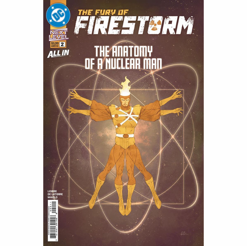 The Fury Of: Firestorm # 2