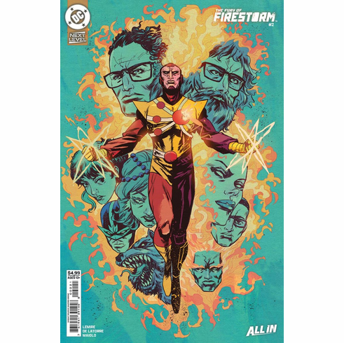 The Fury Of Firestorm # 2 (Variant)