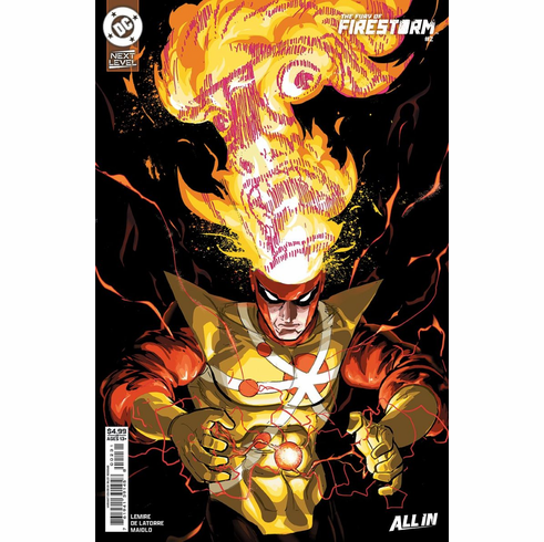 The Fury Of: Firestorm # 2 (Variant)