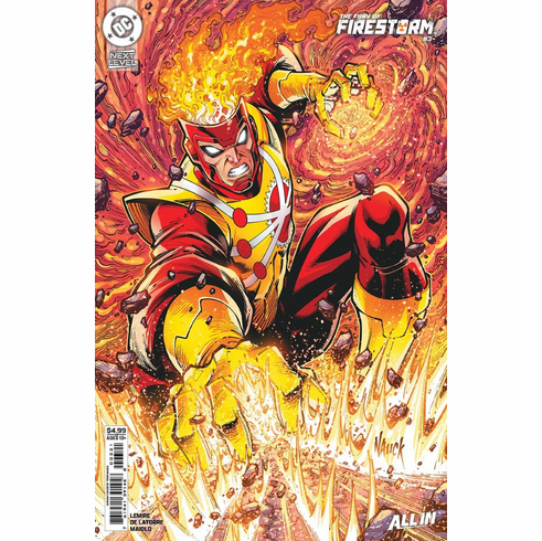 The Fury Of Firestorm # 3 (Variant)
