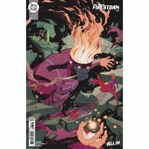 The Fury Of Firestorm # 3 (Variant)