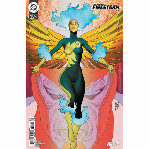 The Fury Of Firestorm # 4 (Variant)