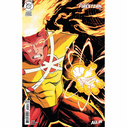 The Fury Of Firestorm # 4 (Variant)