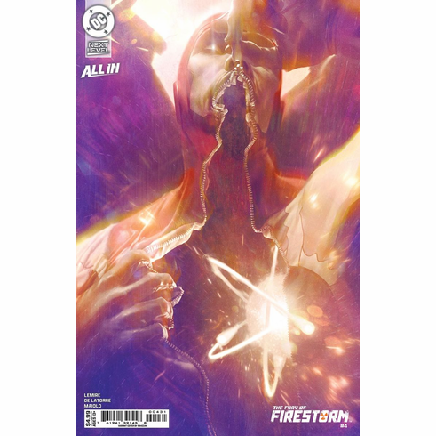 The Fury Of Firestorm # 4 (Variant)