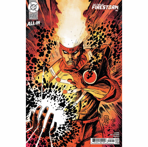 The Fury Of: Firestorm # 5 (Variant)