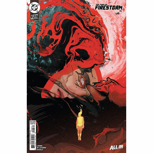 The Fury Of: Firestorm # 5 (Variant)