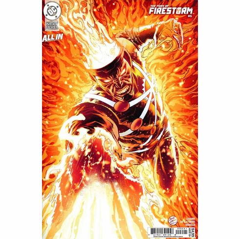 The Fury Of: Firestorm # 6 (Variant)