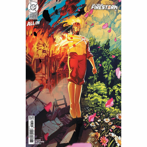 The Fury Of Firestorm # 7 (Variant)