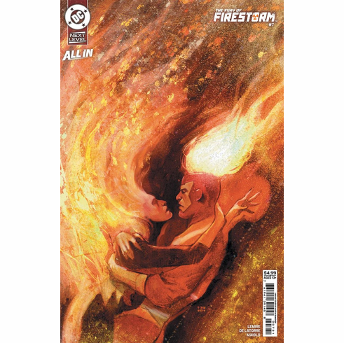 The Fury Of Firestorm # 7 (Variant)